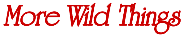 More Wild Things